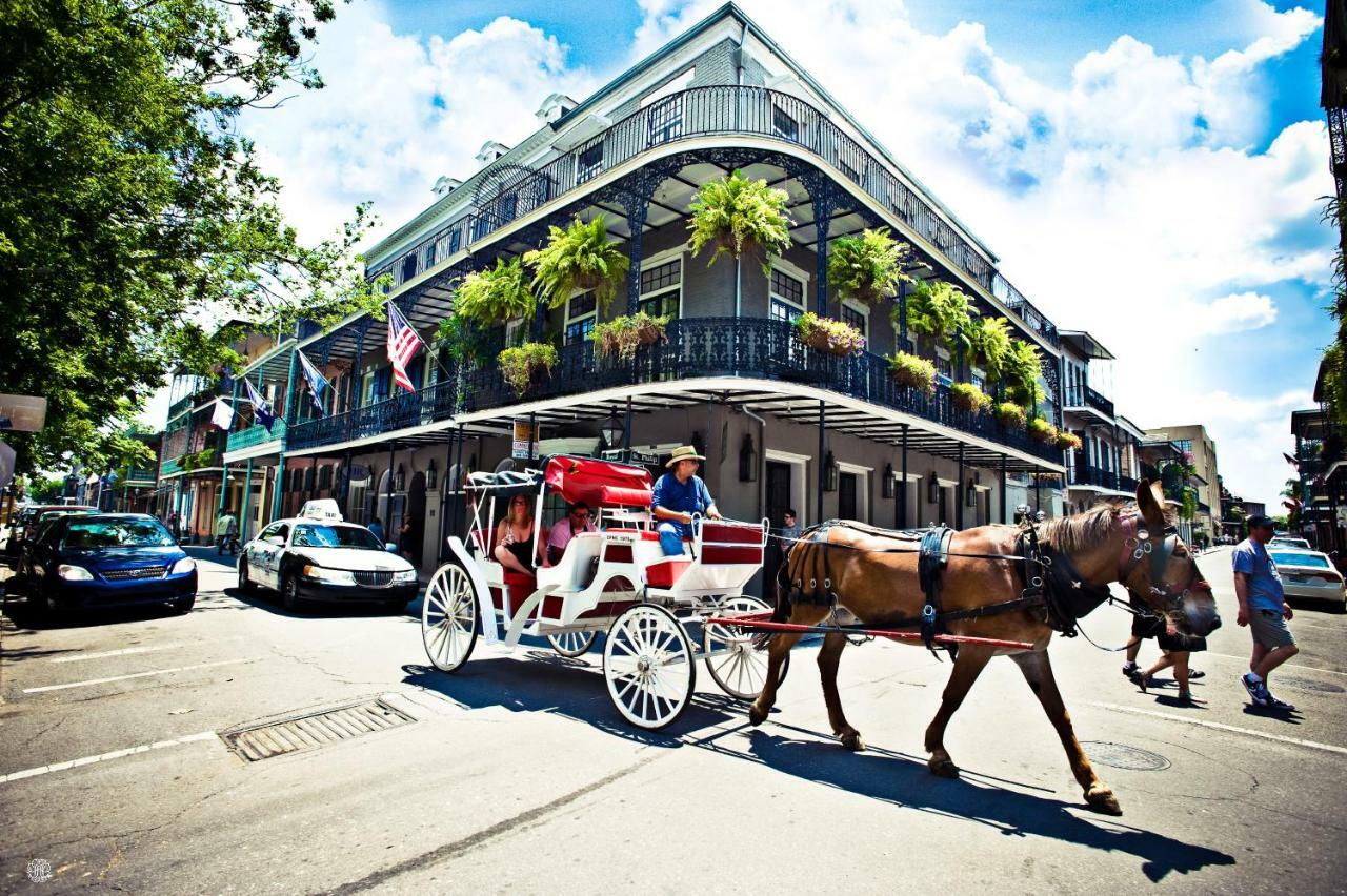 Ferienwohnung Esplanade Magic New Orleans Exterior foto